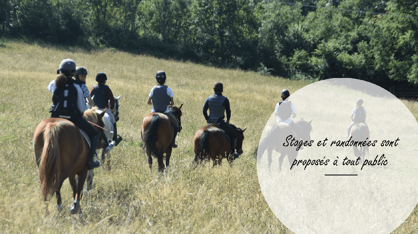 Stages et randonnées sont proposés à tout public. Chevaux en extérieur.