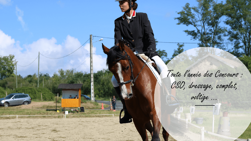 Toute l'année des Concours : CSO, dressage, complet...